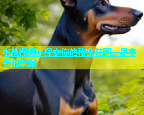 蜜桃视频：探索你的秘密花园，尽享无限乐趣