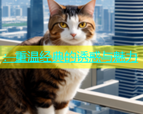 ：重温经典的诱惑与魅力