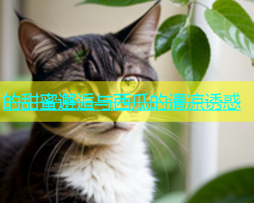 的甜蜜邂逅与西瓜的清凉诱惑