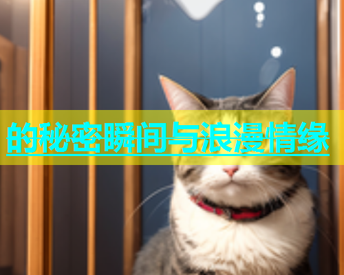 的秘密瞬间与浪漫情缘