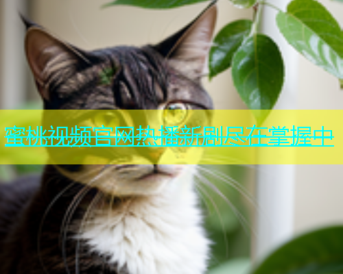 蜜桃视频官网热播新剧尽在掌握中