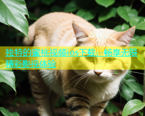 独特的蜜桃视频ios下载，畅享无限精彩影视体验