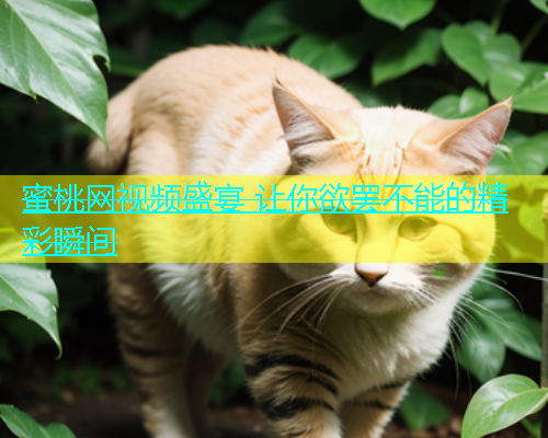 蜜桃网视频盛宴 让你欲罢不能的精彩瞬间