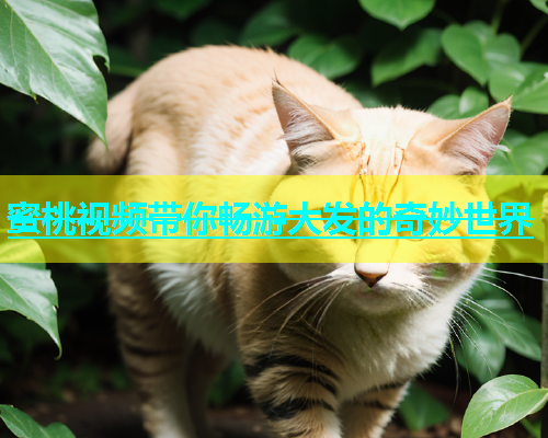 蜜桃视频带你畅游大发的奇妙世界