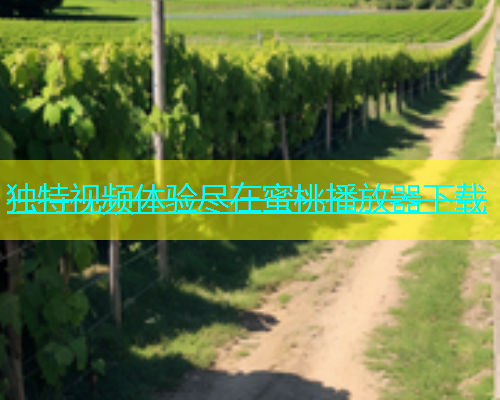 独特视频体验尽在蜜桃播放器下载
