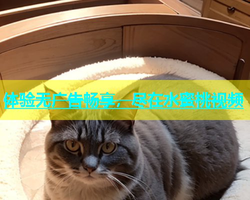体验无广告畅享，尽在水蜜桃视频