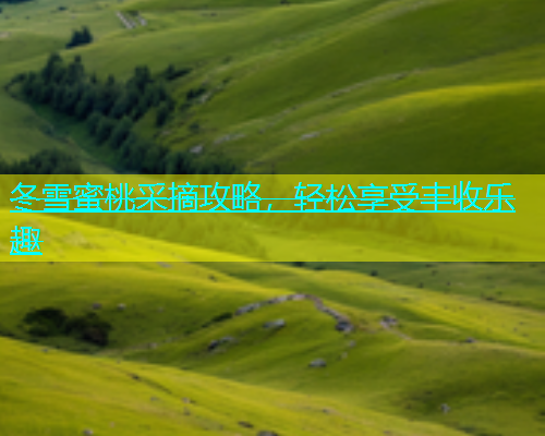冬雪蜜桃采摘攻略，轻松享受丰收乐趣