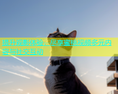 提升观影体验，尽享蜜桃视频多元内容与社交互动