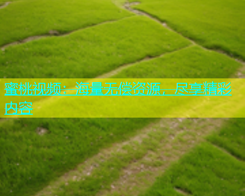 蜜桃视频：海量无偿资源，尽享精彩内容
