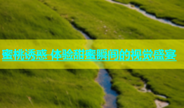 蜜桃诱惑 体验甜蜜瞬间的视觉盛宴