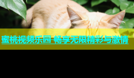 蜜桃视频乐园 畅享无限精彩与激情