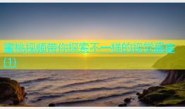 蜜桃视频带你探索不一样的视觉盛宴(1)