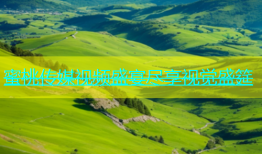 蜜桃传媒视频盛宴尽享视觉盛筵