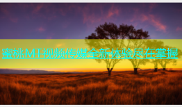 蜜桃MT视频传媒全新体验尽在掌握