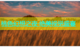 桃色幻想之夜 绝美视觉盛宴