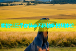 蜜桃社区带你畅享无限精彩视频体验
