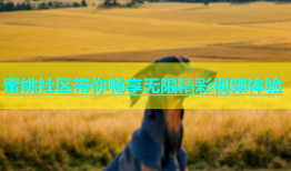 蜜桃社区带你畅享无限精彩视频体验
