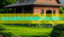 蜜桃视频带你探索夏日的甜蜜秘密