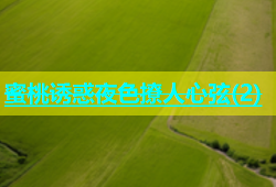 蜜桃诱惑夜色撩人心弦(2)