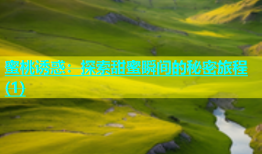 蜜桃诱惑：探索甜蜜瞬间的秘密旅程(1)