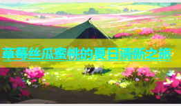 草莓丝瓜蜜桃的夏日清新之旅