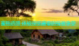 蜜桃诱惑 体验视觉盛宴的极致享受