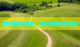 蜜桃网视频揭秘：畅享独特视觉盛宴