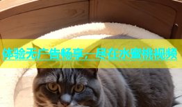 体验无广告畅享，尽在水蜜桃视频