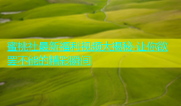 蜜桃社最新福利视频大揭秘 让你欲罢不能的精彩瞬间