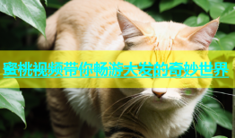蜜桃视频带你畅游大发的奇妙世界