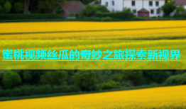 蜜桃视频丝瓜的奇妙之旅探索新视界
