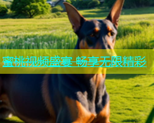 蜜桃视频盛宴 畅享无限精彩