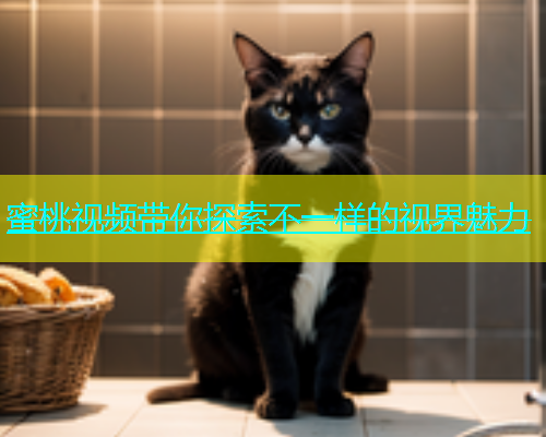 蜜桃视频带你探索不一样的视界魅力