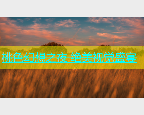 桃色幻想之夜 绝美视觉盛宴